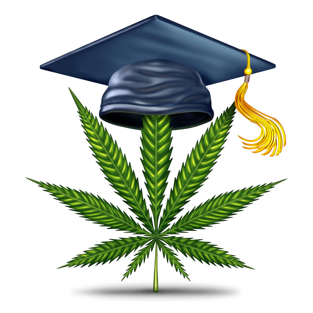 It Is Time For Your Cannabis Education! - The ACKR - Albany Canna ...